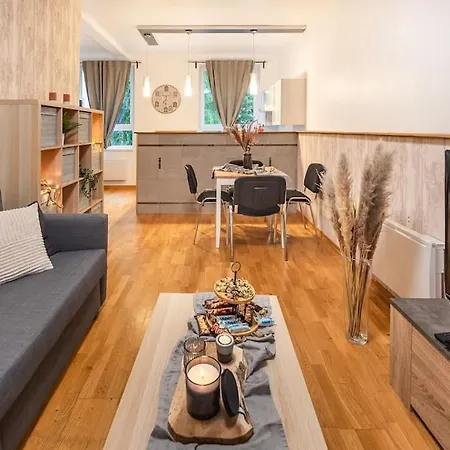 公寓 L'Elegant-Parking Prive- Strasbourg Centre 10Min-Nbsimmo