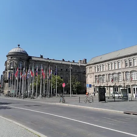 L'elegant-parking Prive-10min Strasbourg-nbsimmo アパート ビシュハイム