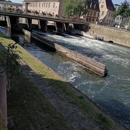L'elegant-parking Prive-10min Strasbourg-nbsimmo *