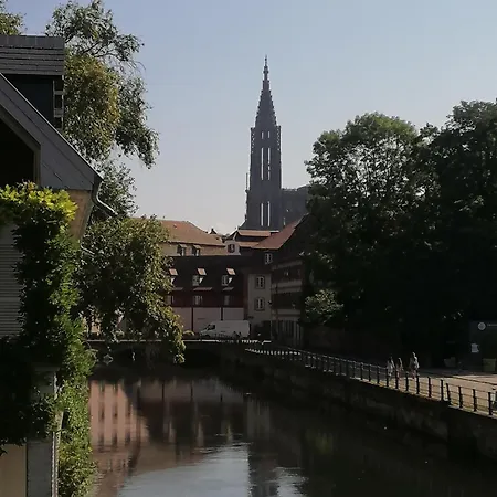 L'elegant-parking Prive-10min Strasbourg-nbsimmo Apartment Bischheim