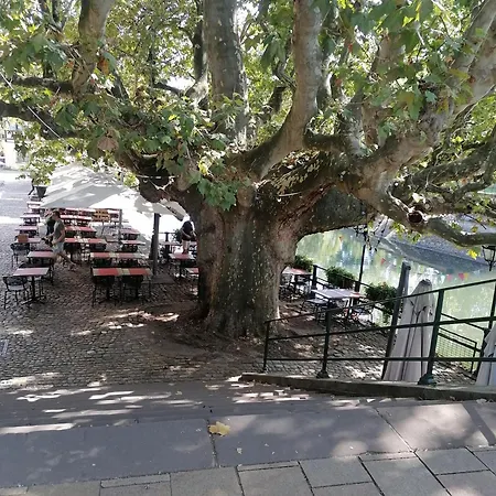 L'elegant-parking Prive-10min Strasbourg-nbsimmo Apartment