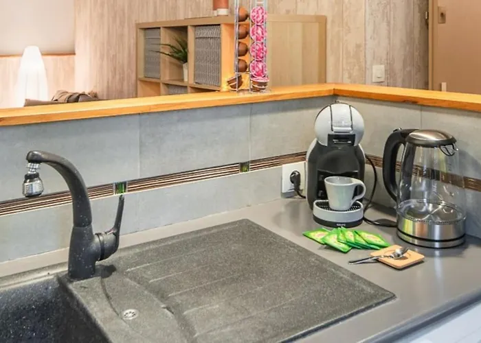 L'elegant-parking Prive-10min Strasbourg-nbsimmo *